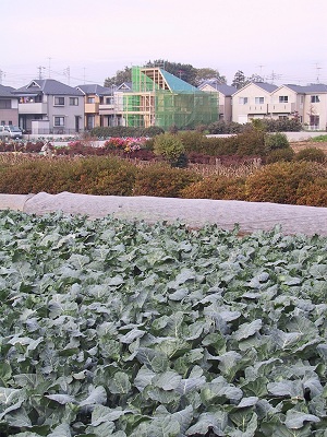 今日の現場