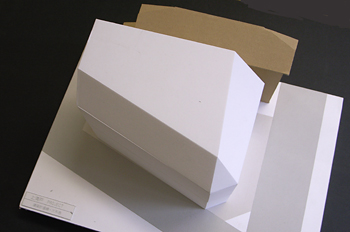 20070423_01.jpg