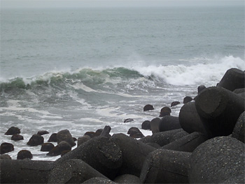 20070717_01.jpg