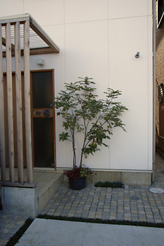 20070121_01.jpg