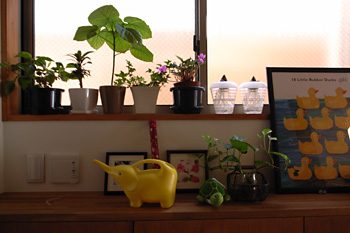 20070121_04.jpg