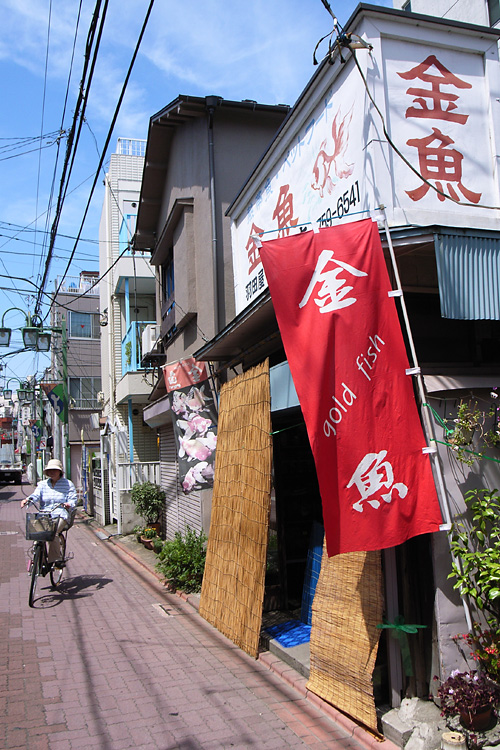 20080724_01.jpg
