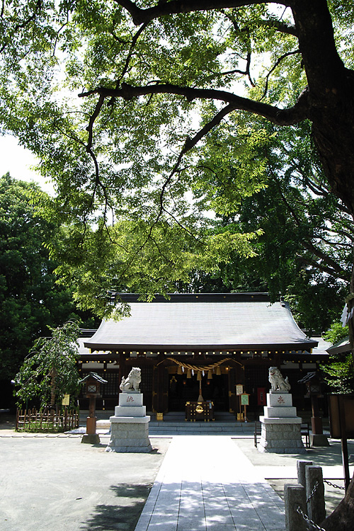 20080724_02.jpg