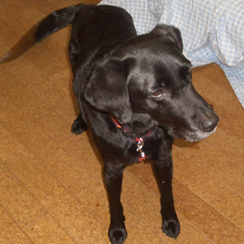 20081020_01.jpg
