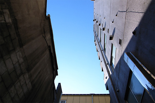 20081125_02.jpg