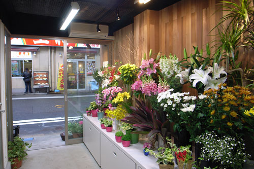 20090406_02.jpg