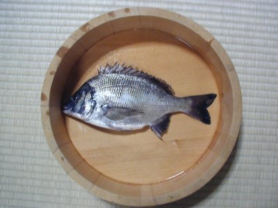 ނ