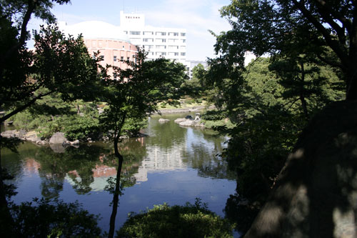 裏の公園/終の棲家