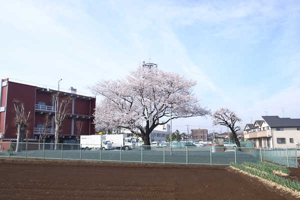 20130327_03.jpg