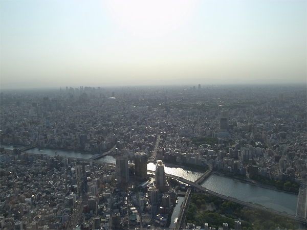 20130509_03.jpg