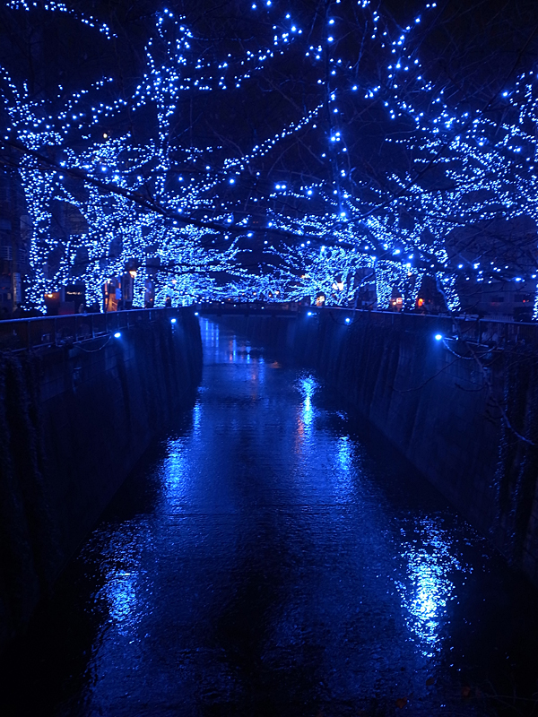 20141204_03.jpg