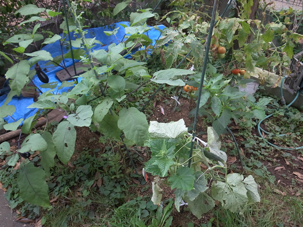 20160724_104.jpg