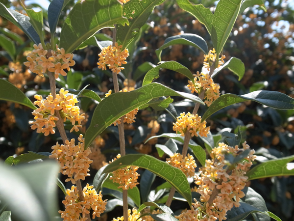 20161002_03.jpg