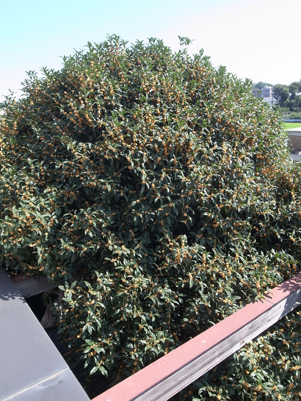 20161002_04.jpg