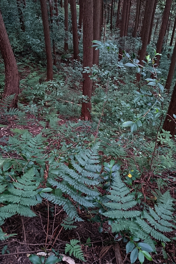 20161031_05.jpg