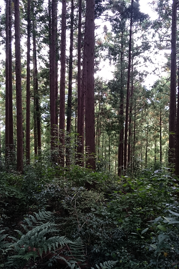 20161031_08.jpg