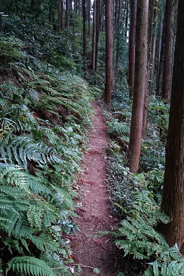 20161031_09.jpg