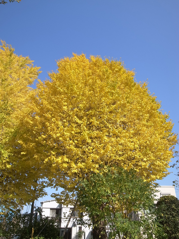 20161122_01.jpg