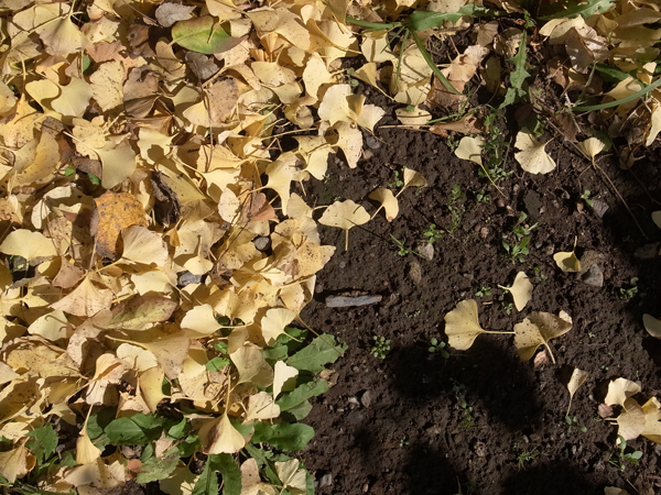 20161122_02.jpg