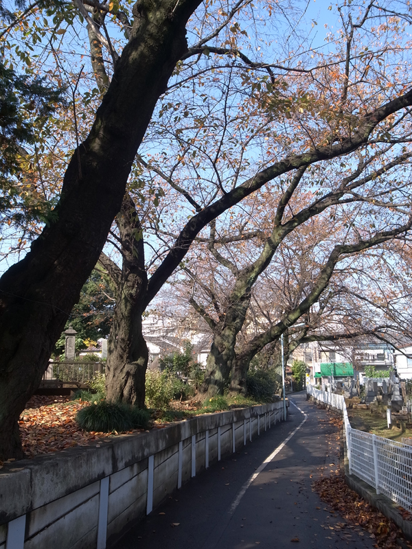 20161122_03.jpg