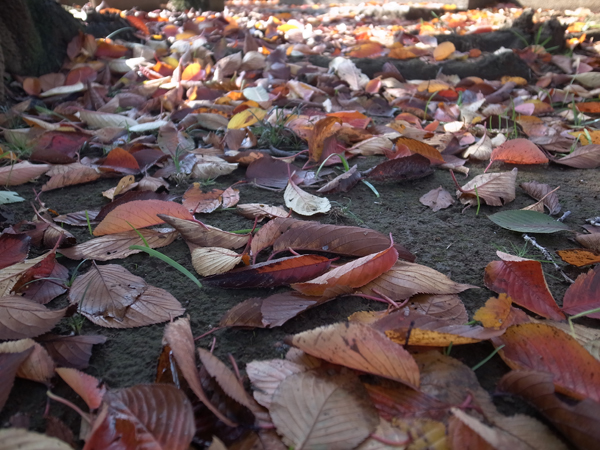20161122_04.jpg
