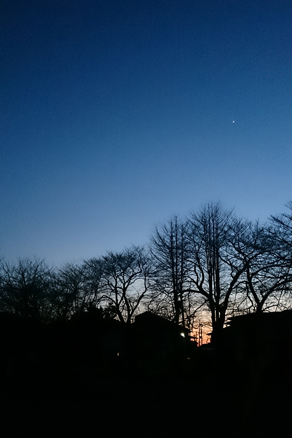 20170106_02.jpg