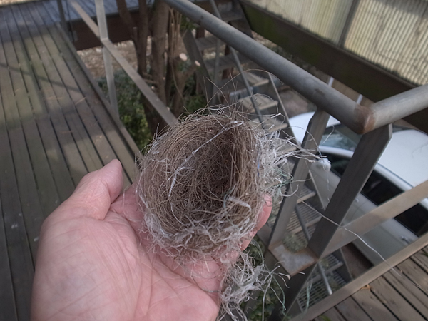 20170207_06.jpg
