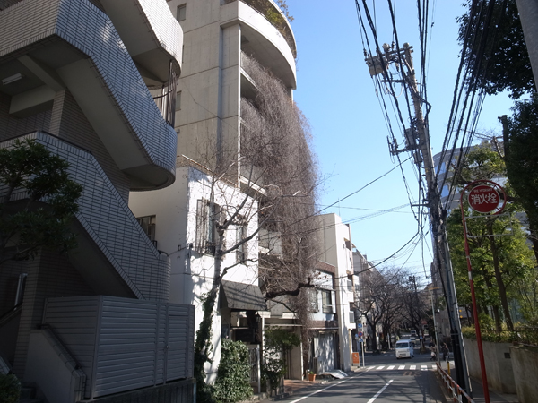 20170228_02.jpg