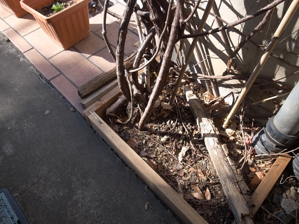 20170228_03.jpg