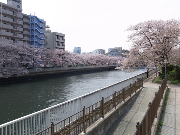 20130401_11.jpg