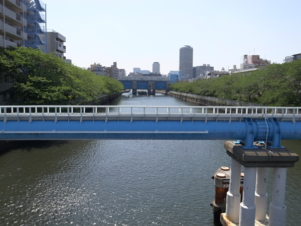 20130515_11.jpg